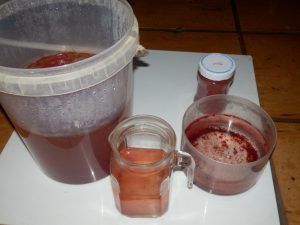 campioni pioggia rossa