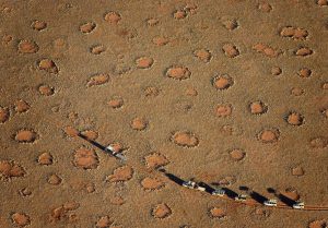 cerchi delle fate namibia