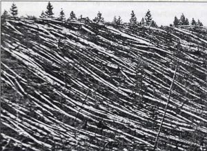 tunguska