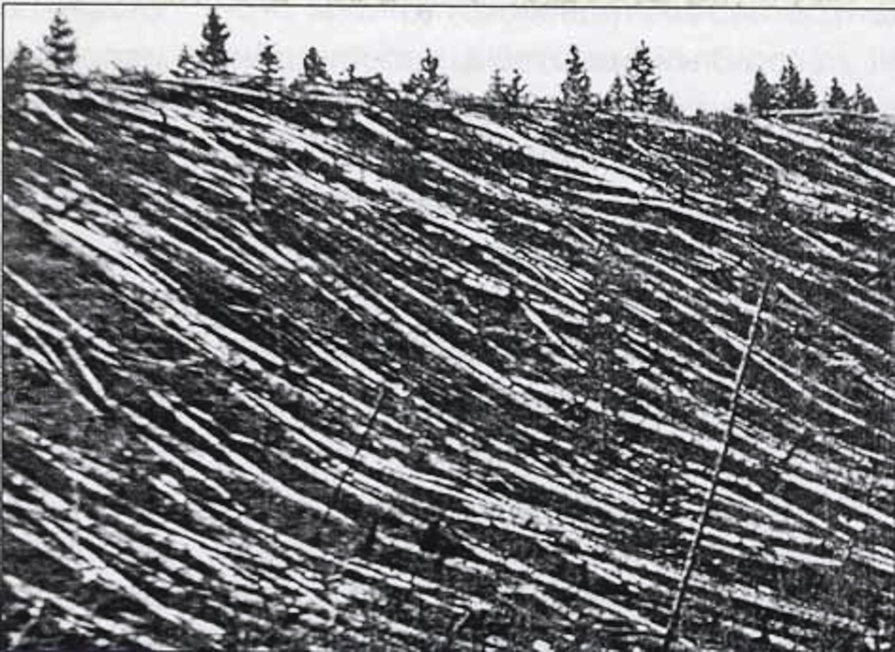 tunguska